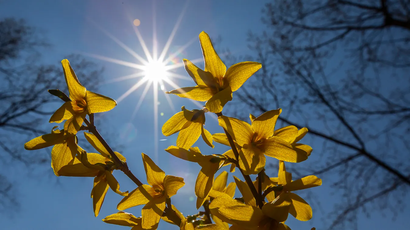 Brutális időjárás lesz: hatalmas felmelegedés várható