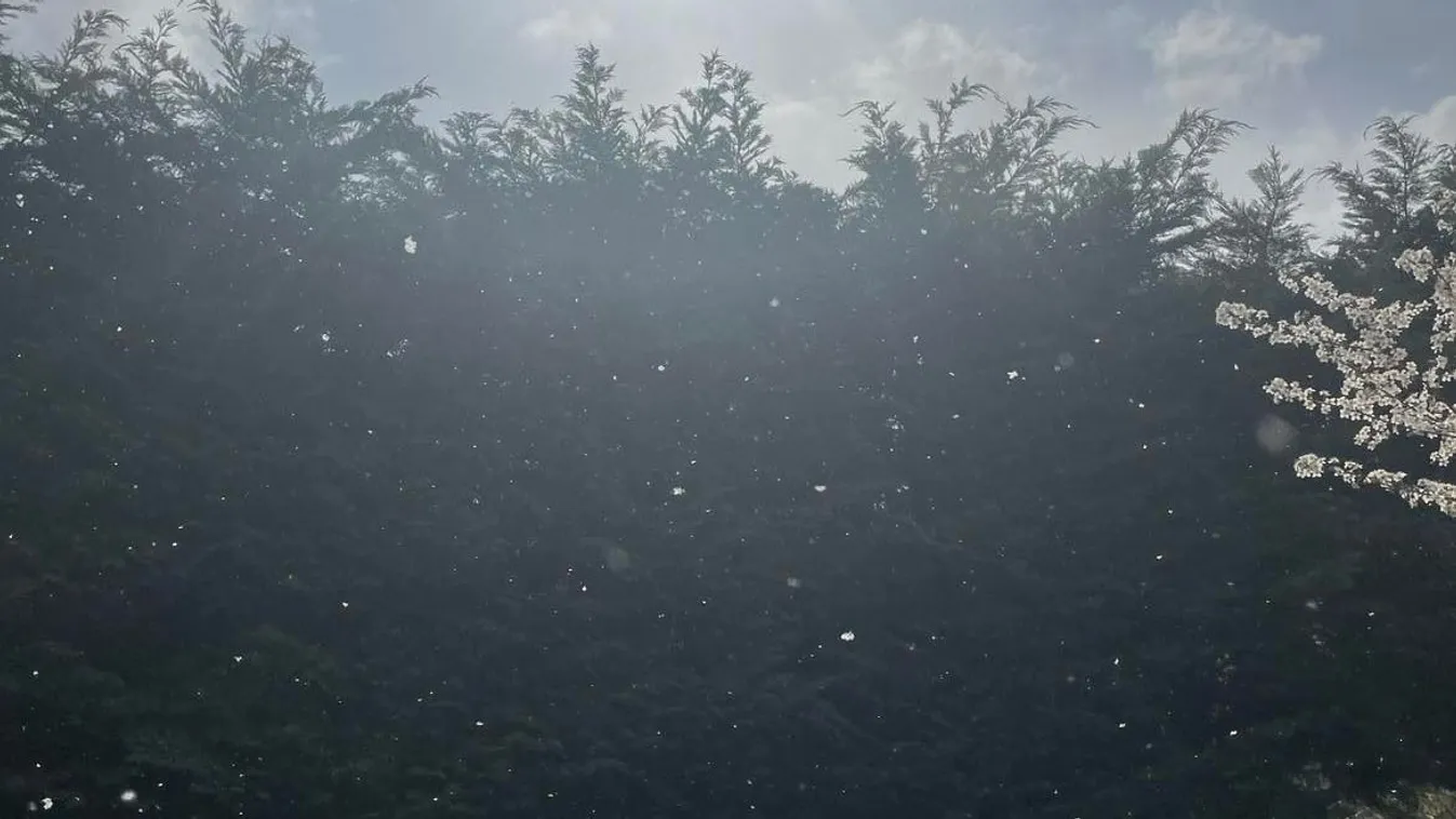 Megérkezett a hó a XII. kerületbe – Videó