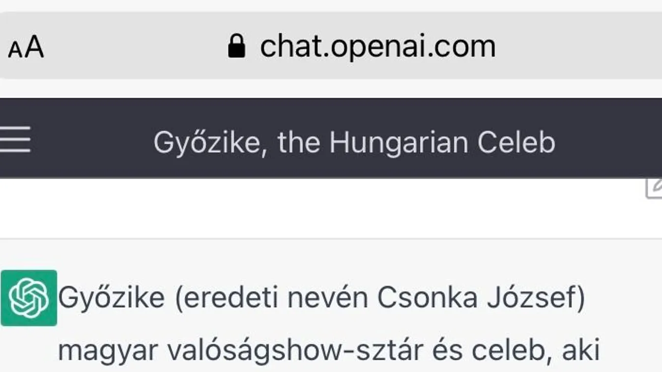 Kulcsár Edina olimpiai bajnok, Győzike eredeti neve Csonka József - legalábbis a mesterséges intelligencia szerint...