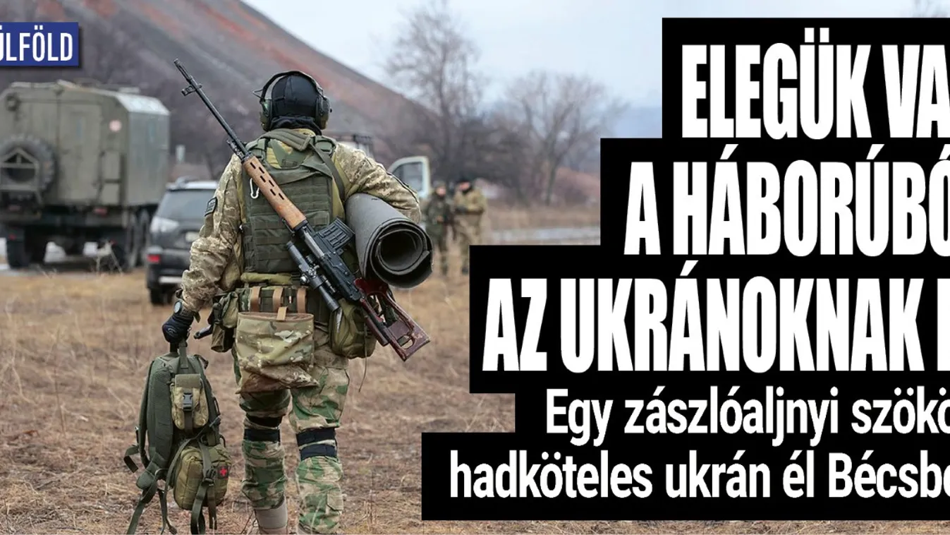 Egy zászlóaljnyi szökött hadköteles ukrán él Bécsben