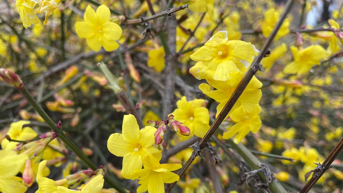 A hétvége horoszkópja: egy csillagjegy kiborul