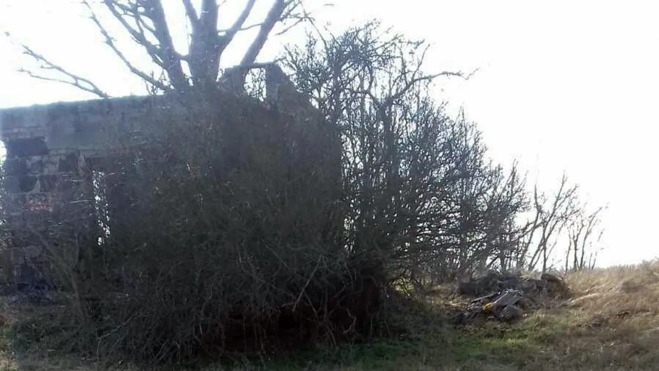 Nyomra bukkantak: ez segíthet azonosítani a Pakson három darabban talált holttestet