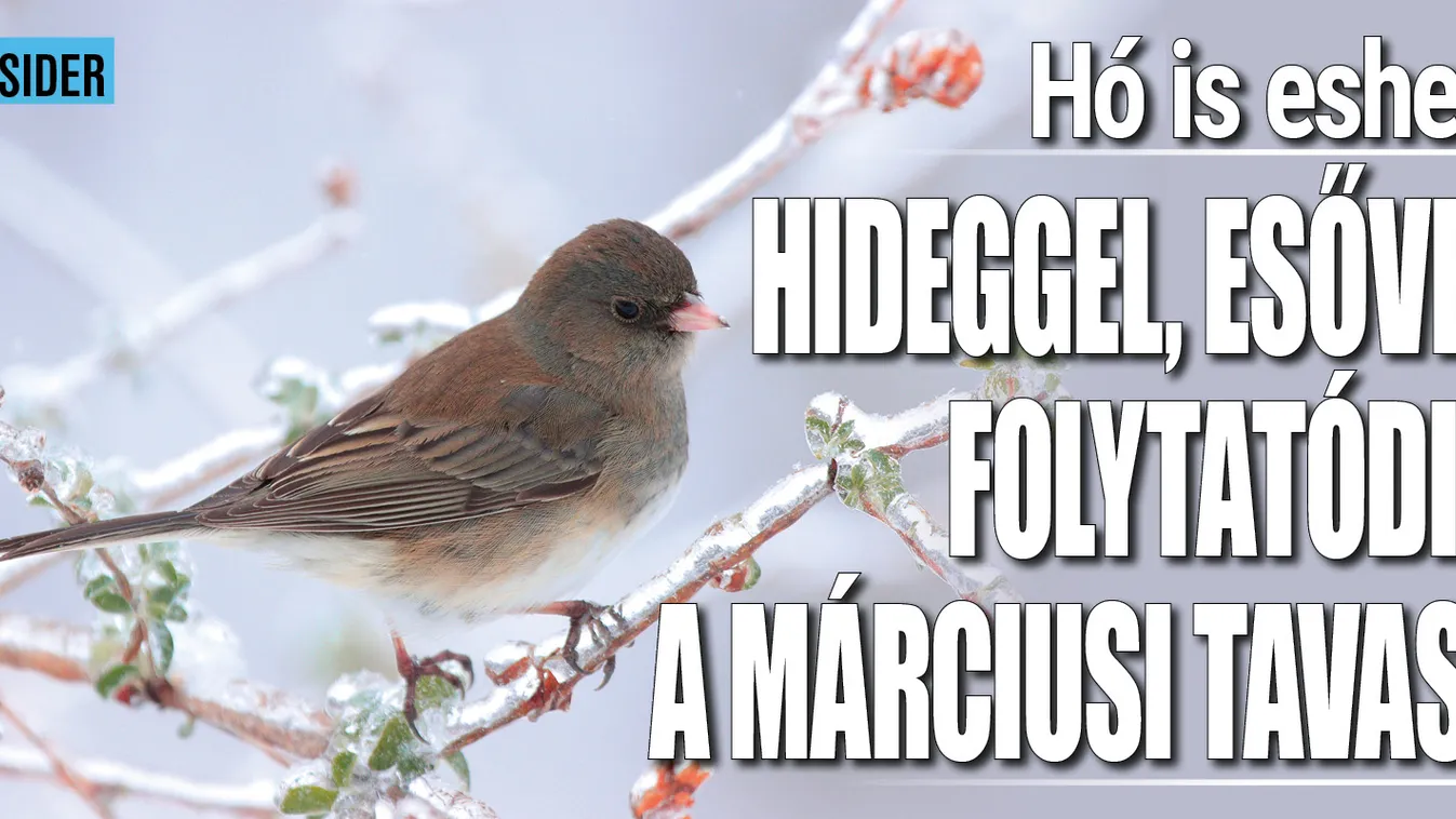 Borzalom: ekkor ér ide a drasztikus időjárásváltozás