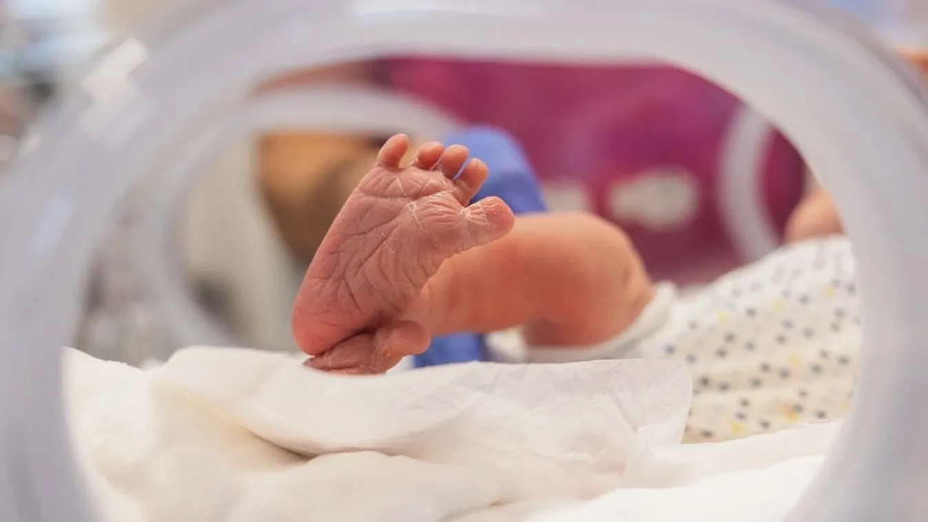 Koraszülött intenzív ellátási centrum nyílt a magánkórházban