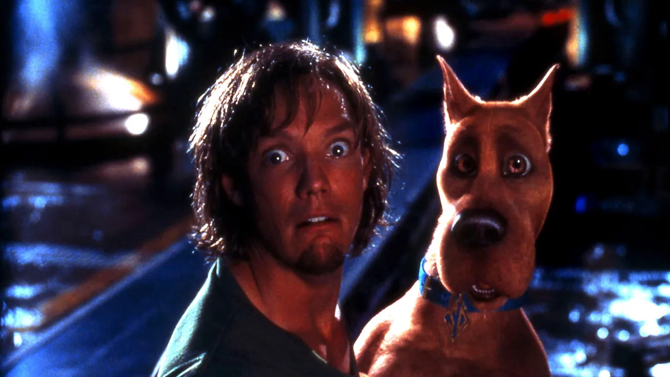 Te jó ég! Nem hiszed el, hogy néz ki a Scooby Doo sztárja!