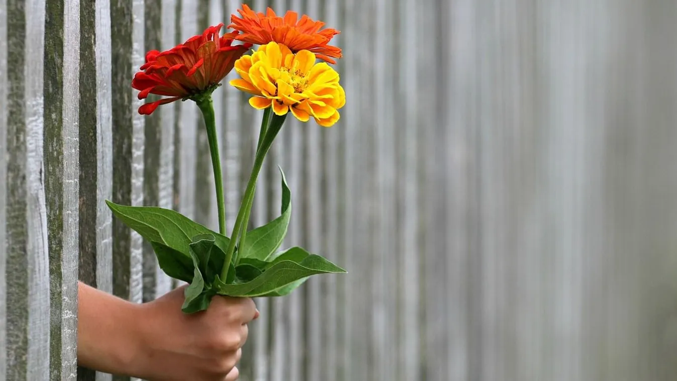 Hamarosan Nőnap: ezt gondolják az ünnepről a fővárosiak