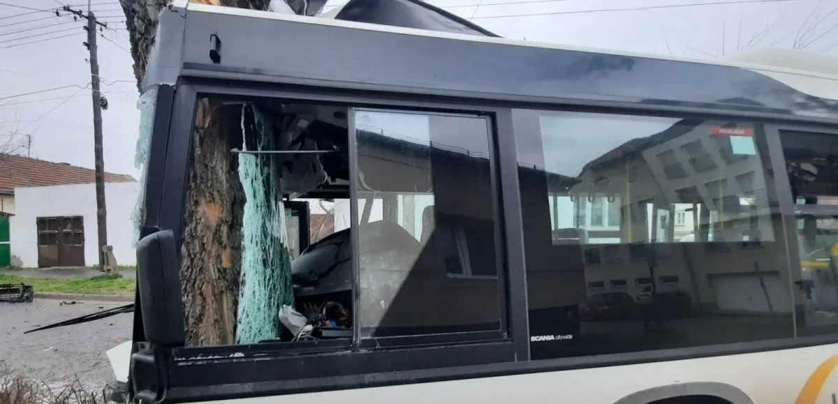 szegedi buszbaleset, március 6., 