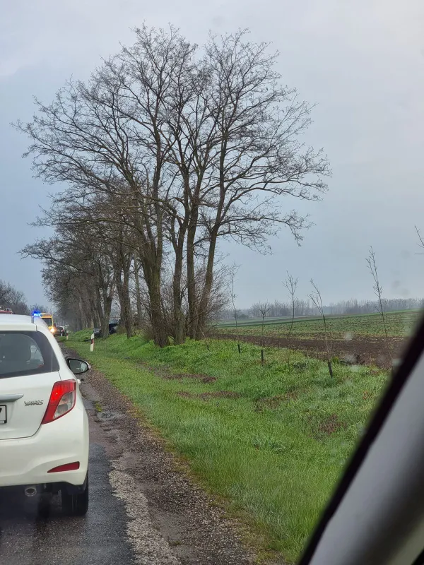 A vasárnap hajnalban Tiszafüred és Tiszaigar között történt baleset helyszíne.