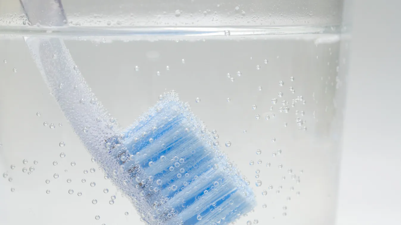 Ne dobd el a régi fogkefét,  tavasszal nagy hasznát veszed