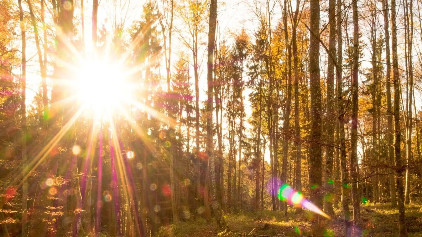 Megdöbbentő: fotókon, hogy mire képes a túl sok napozás!