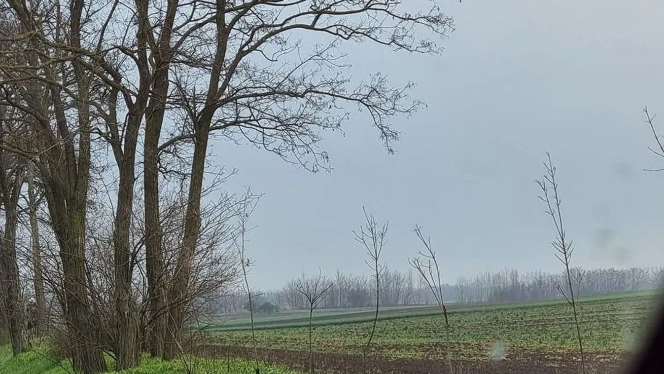 Zacskónyi készpénz volt a fának csapódott férfi autójában