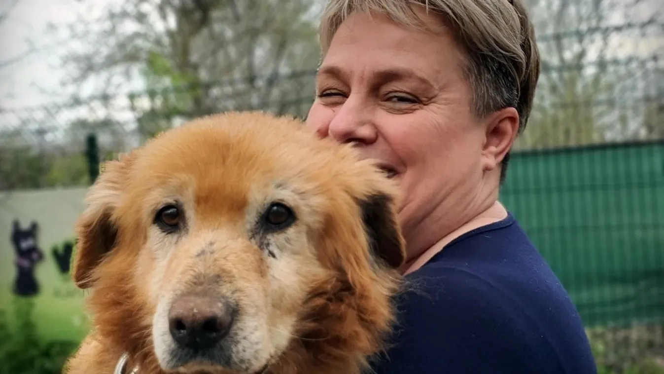 A gazdája meghalt, lemondtak róla: Csoda történt Buksival