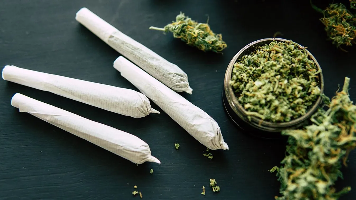 Németországban hamarosan legálisan lehet szívni a füvet