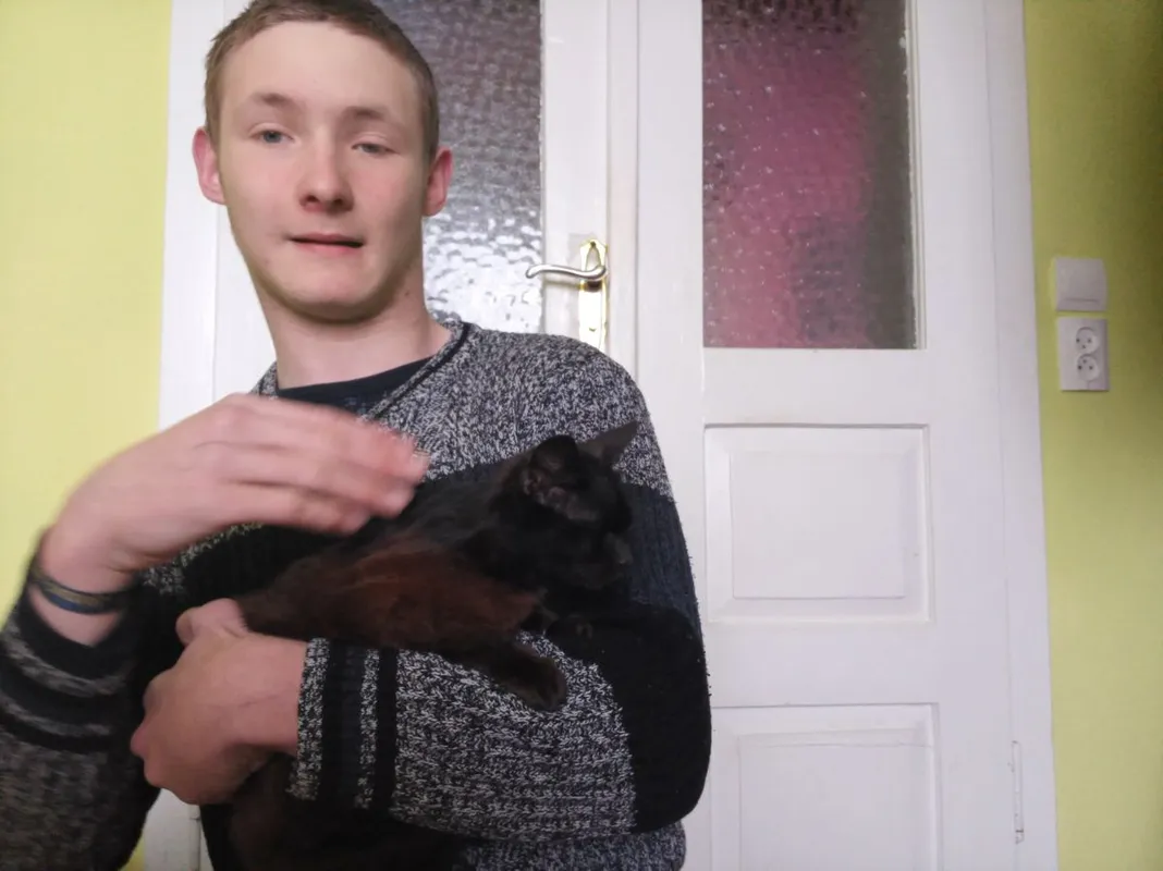 Mozgássérült fiú