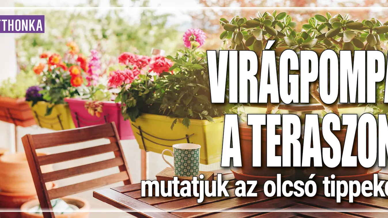 Virágpompa a teraszon, mutatjuk az olcsó tippeket