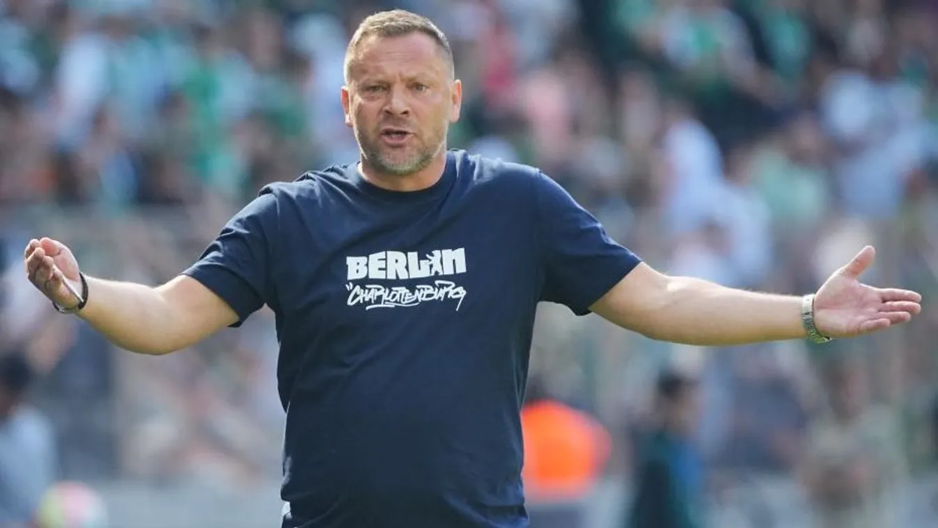 Dárdai végre megszólalt, mindent elmondott a botrányról