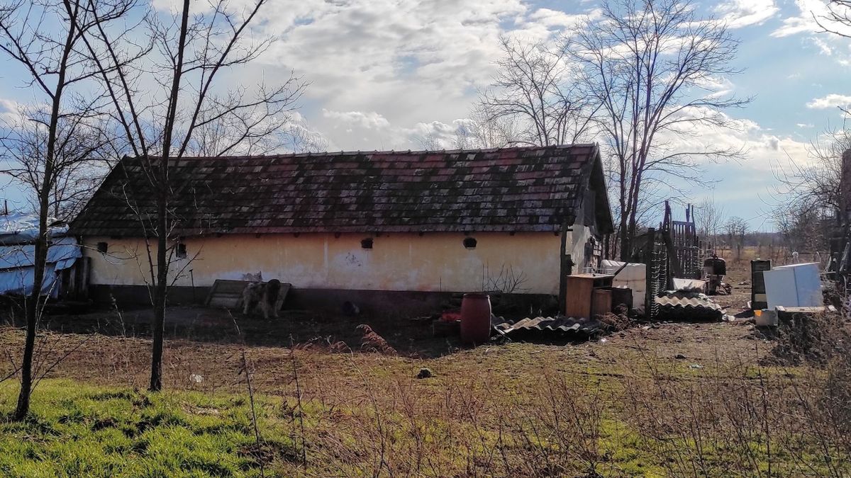 A halál szagát lehetett érezni a törteli horrortanyán: tetemek hevertek mindenütt