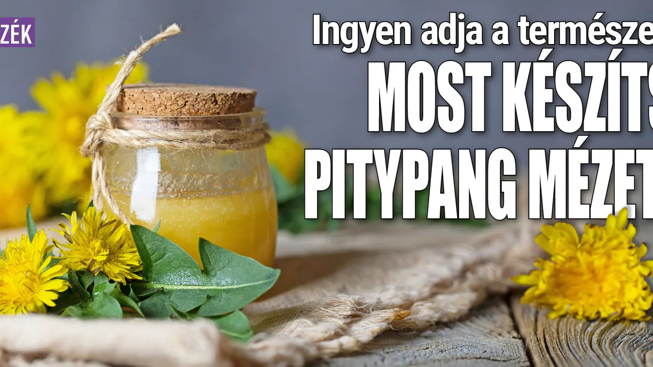Ingyen adja a természet: Most készíthetsz pitypang mézet