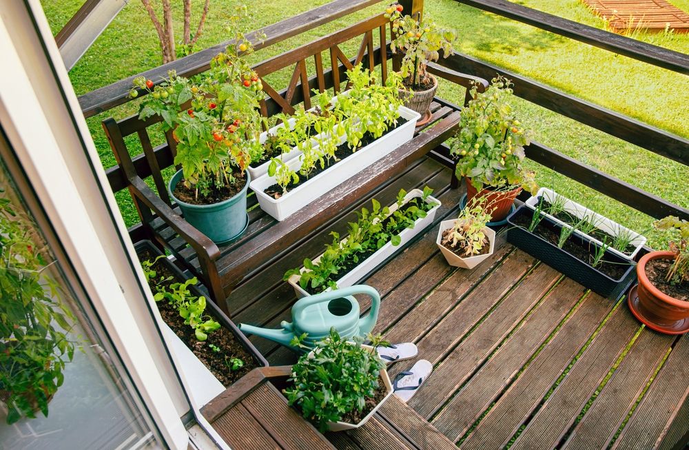 Various,Potted,Herbs,And,Plants,Growing,On,Home,Wood,Balcony