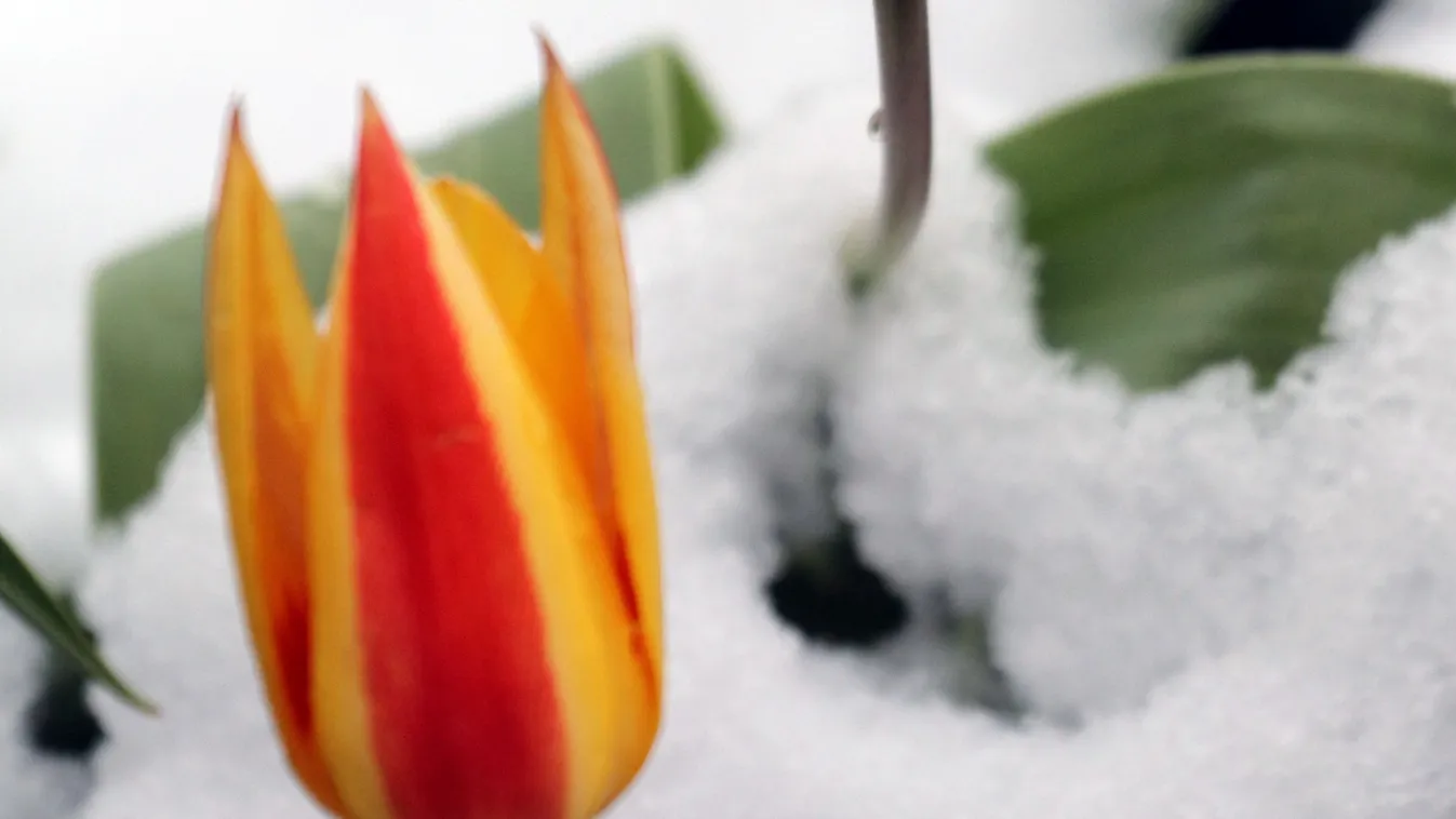  Németh Lajos nem kertel az időjárás kapcsán