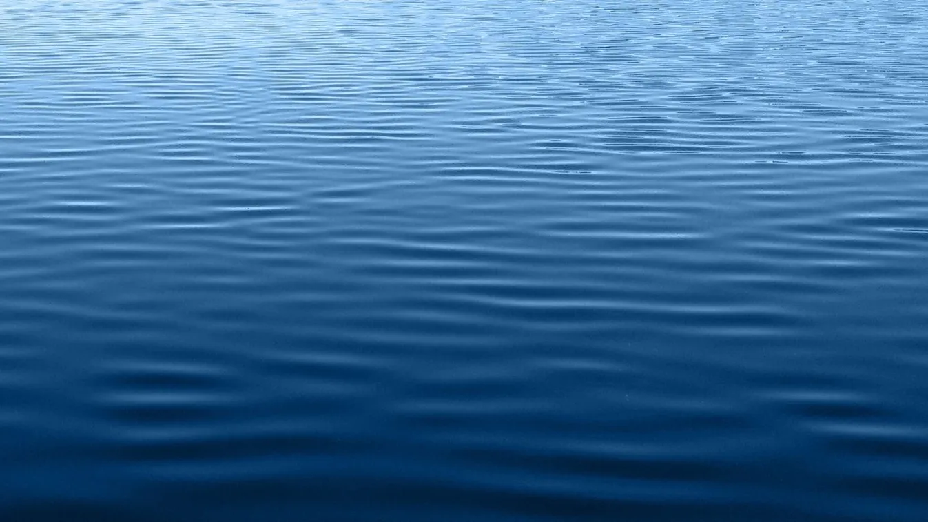 Dunába hajtott kutyájával az eltűntként keresett férfi