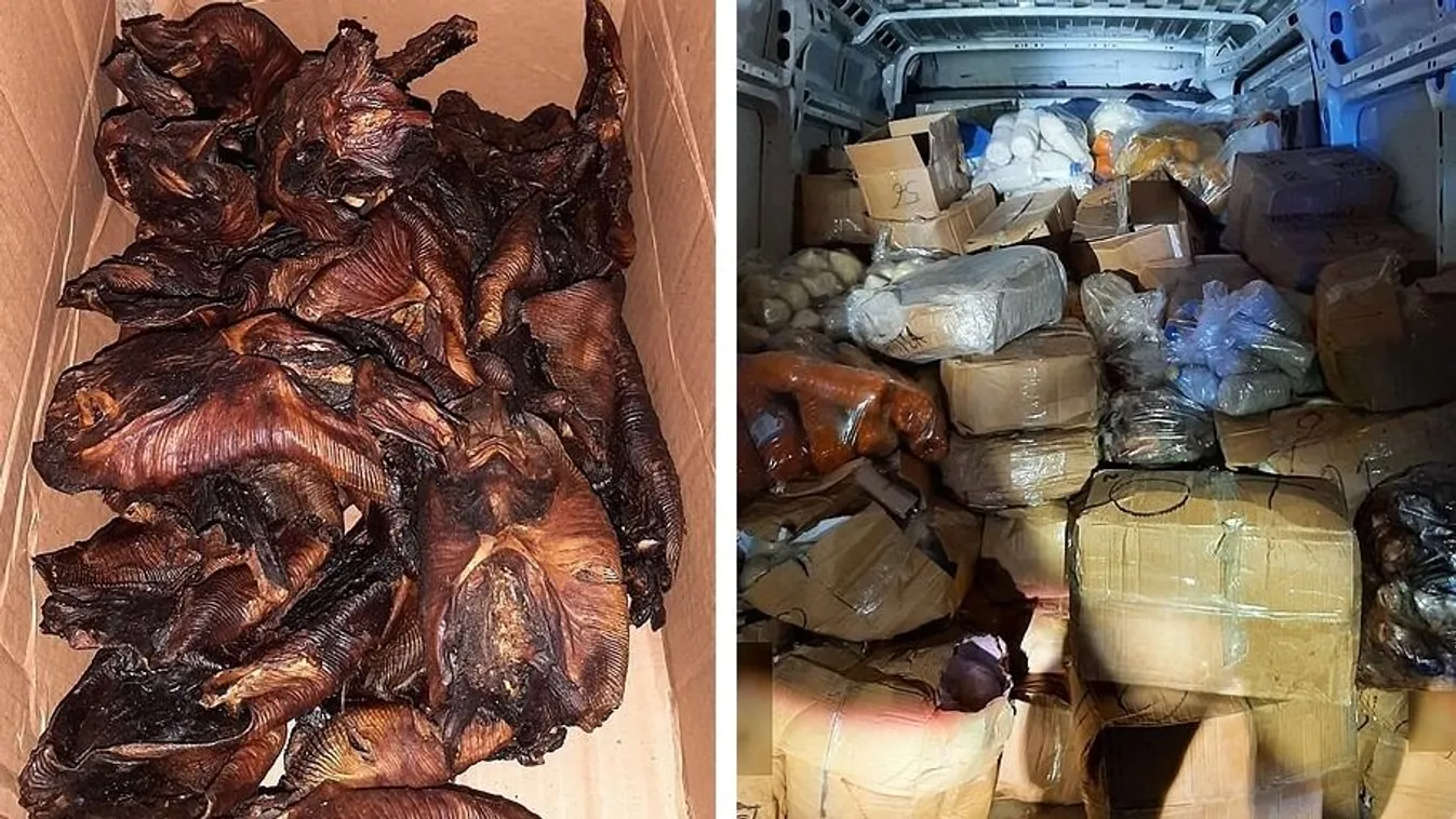 Sült denevérrel teli kamionnal lépte át a határt egy migráns