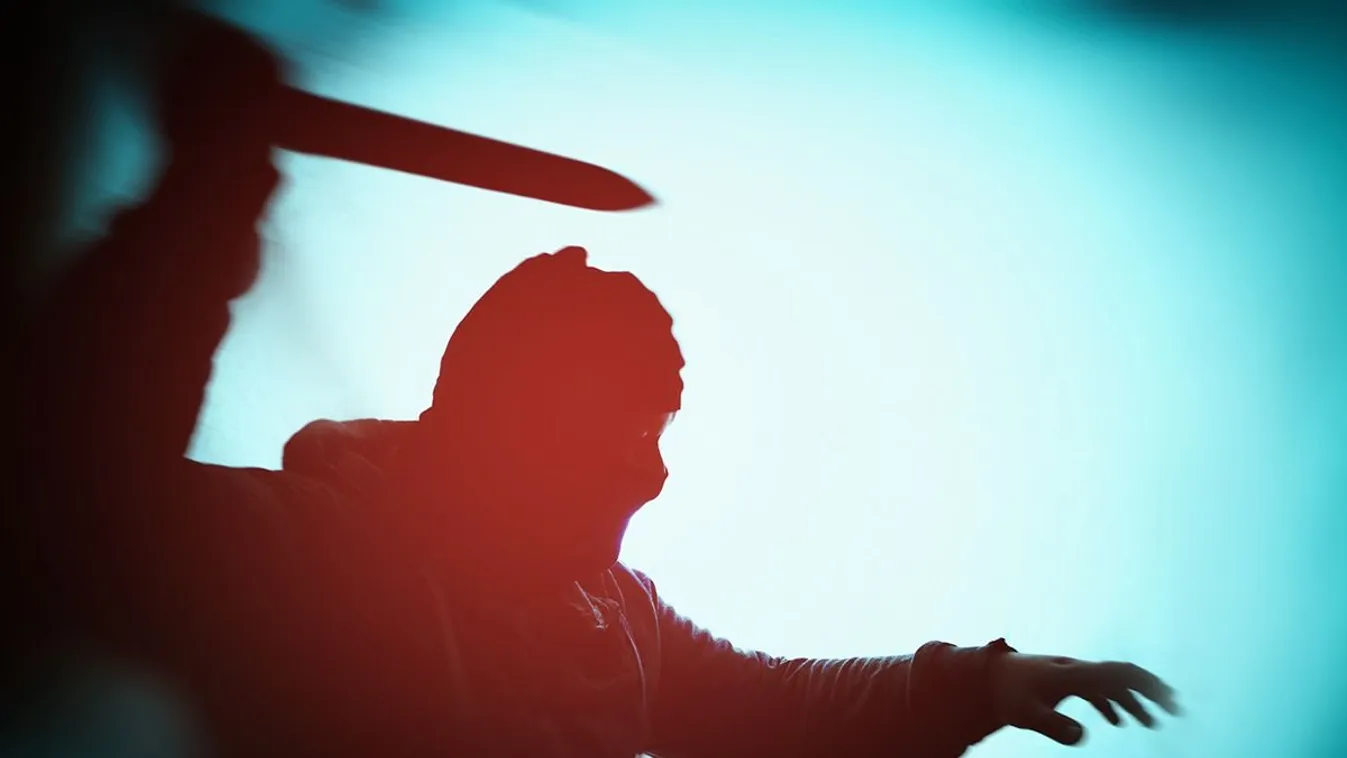 Felidézte drogos támadója lelövését a hős rendőrnő