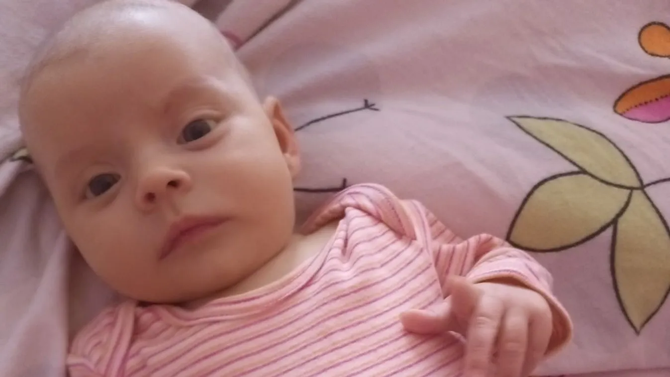 Apukája lehet a májdonorja a három hónapos Lénának