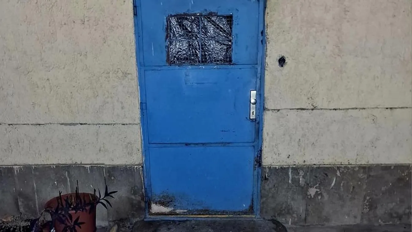 Újbudai horrorpince: egy nő és egy rákos kutya élt bent