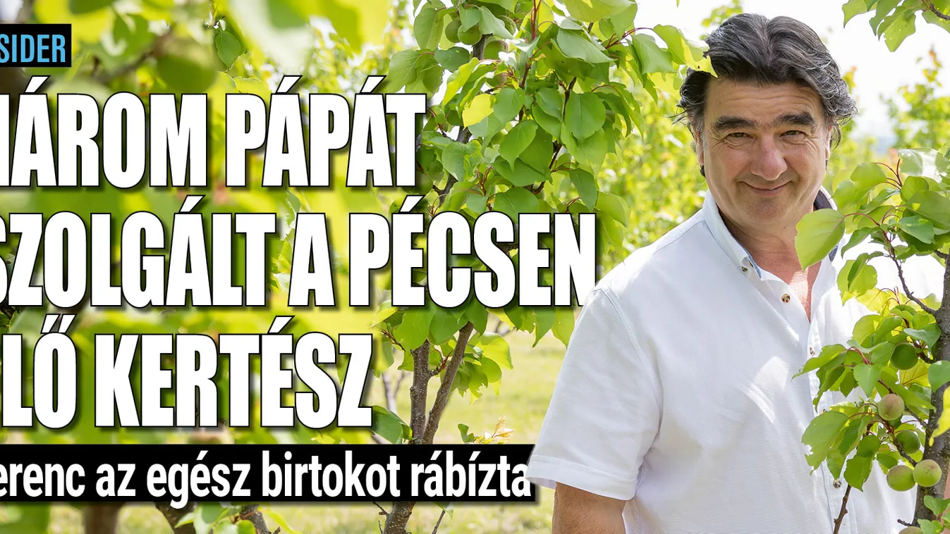 Pécsett él a pápák kertésze