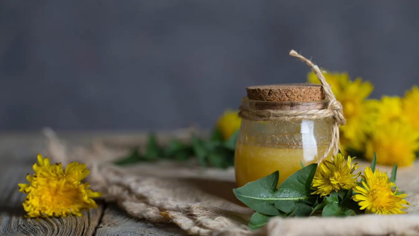 Ingyen adja a természet: Most készíthetsz pitypang mézet