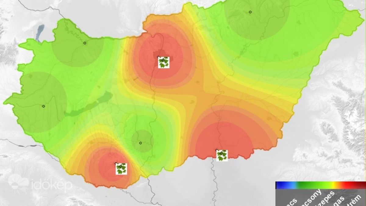 Durván beindult a pollenszezon, főleg ebben a három magyar nagyvárosban