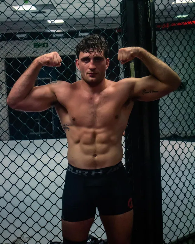 Ifjabb Növényi Norbert