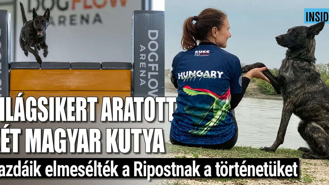 Mentett kutyus miatt lett világsztár a magyar kutyás lány