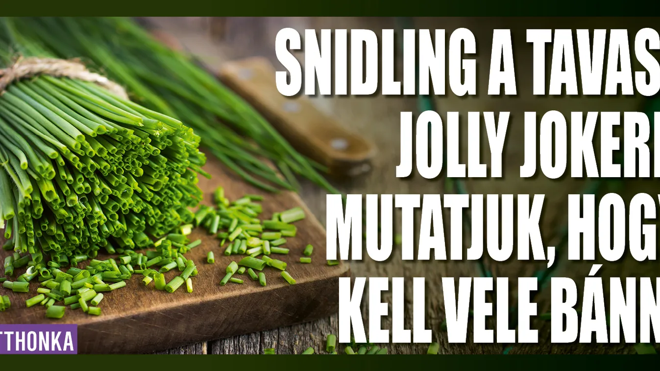 Snidling, a tavasz jolly jokere, mutatjuk, hogy bánj vele