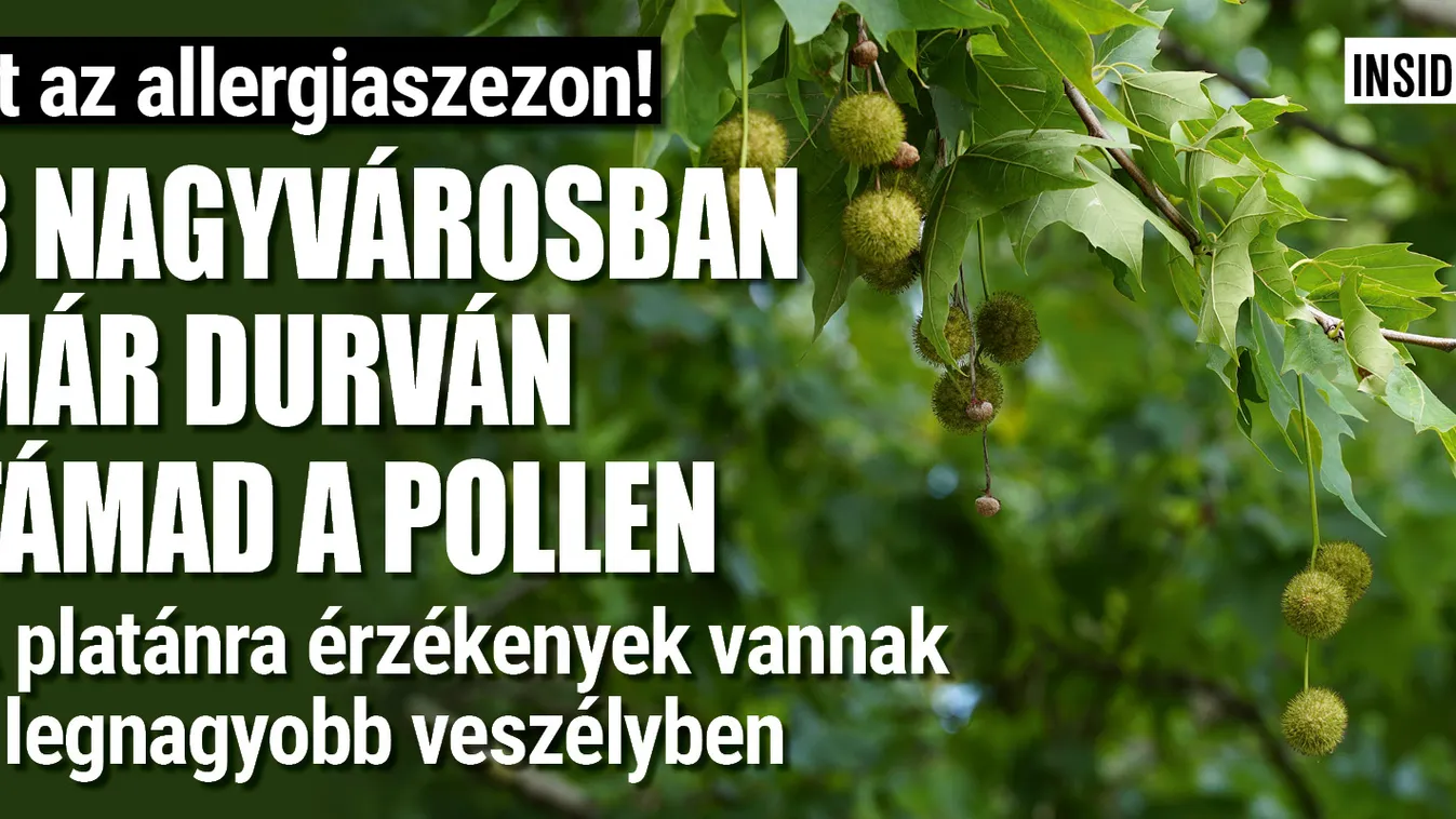 Durvul a pollenszezon, Budapest mellett még két helyen