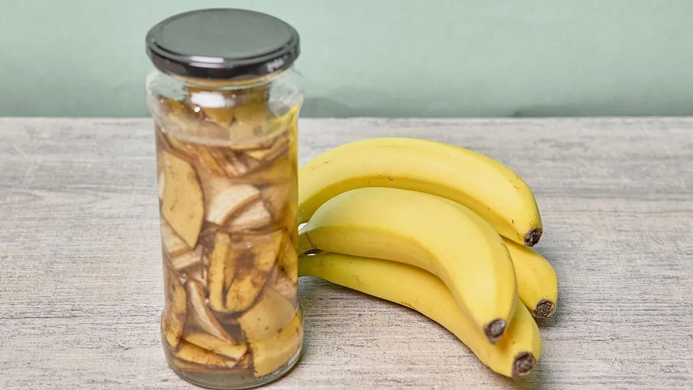 Eszméletlen, mit művel a banánhéj a paradicsompalántával