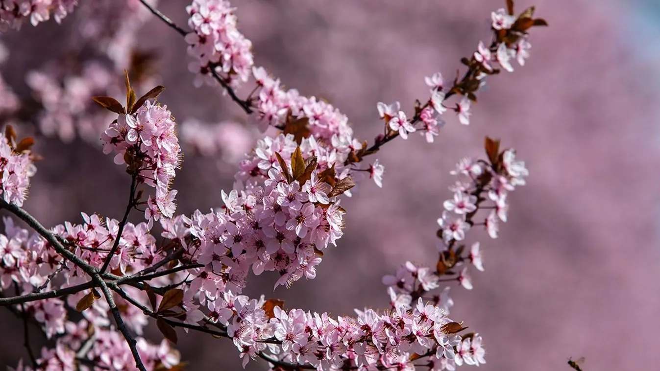 Az esernyő mellé már a napszemüvegeket is előkészíthetjük