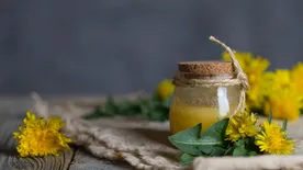 Ingyen adja a természet: Most készíthetsz pitypang mézet