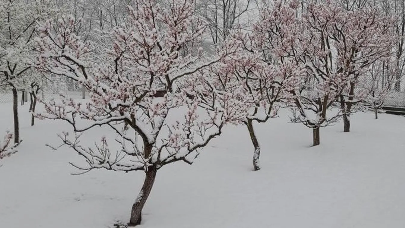 Nyugaton a húsvét jön, míg keleten a karácsony