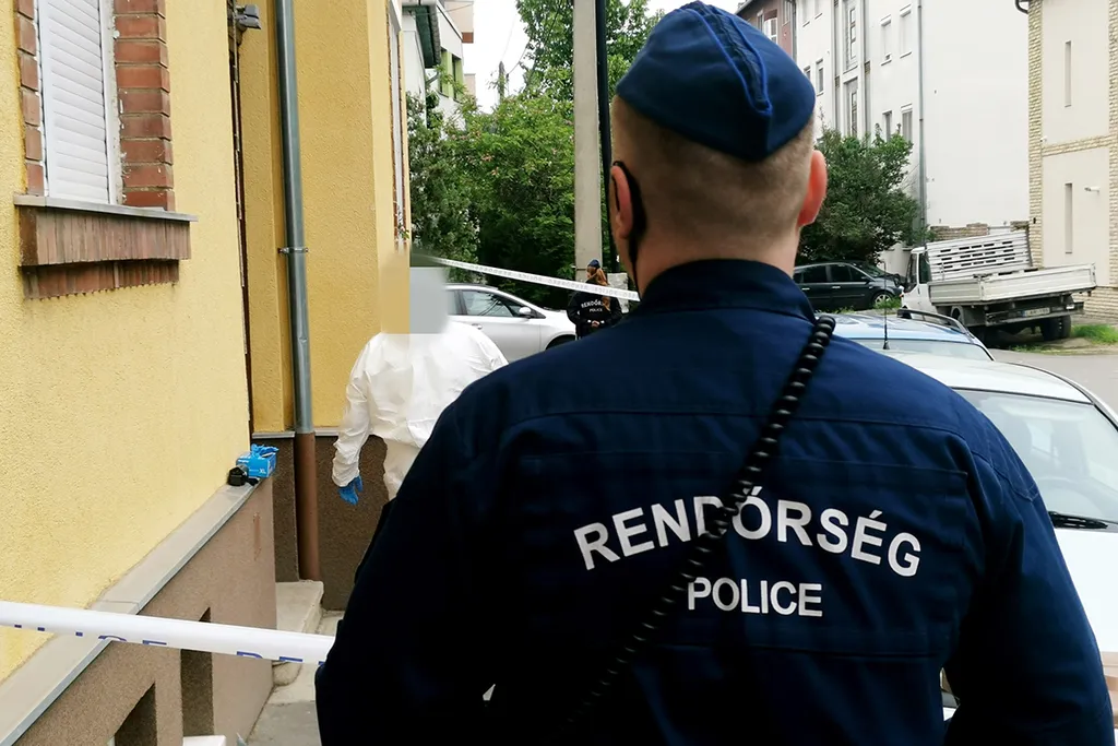 gyilkosság, szeged, 