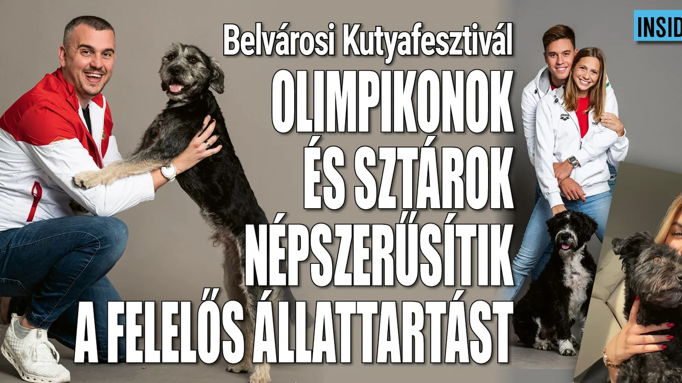 Sztársportolók segítik a kutyusok örökbeadását