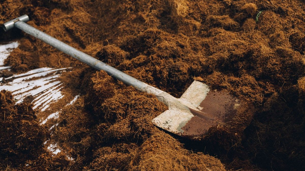 Sokkoló részletek: szörnyű állapotban találták meg az eltűnt magyar üzletembert