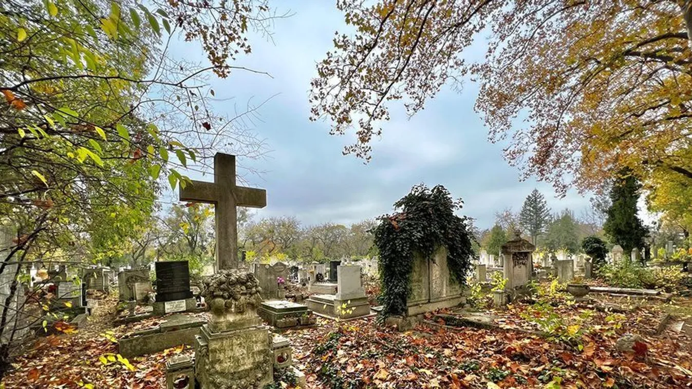 Termessz zöldséget a temetőben, itt már működik