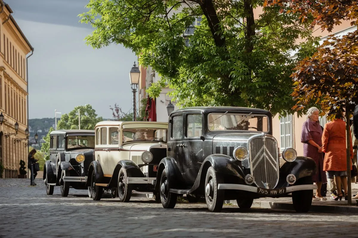 Megafilm Fehér páva