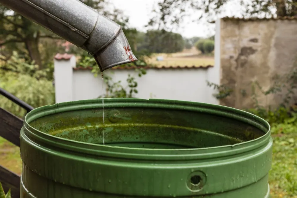 esővíz gyűjtés hordó, esővíz, csapadékvíz