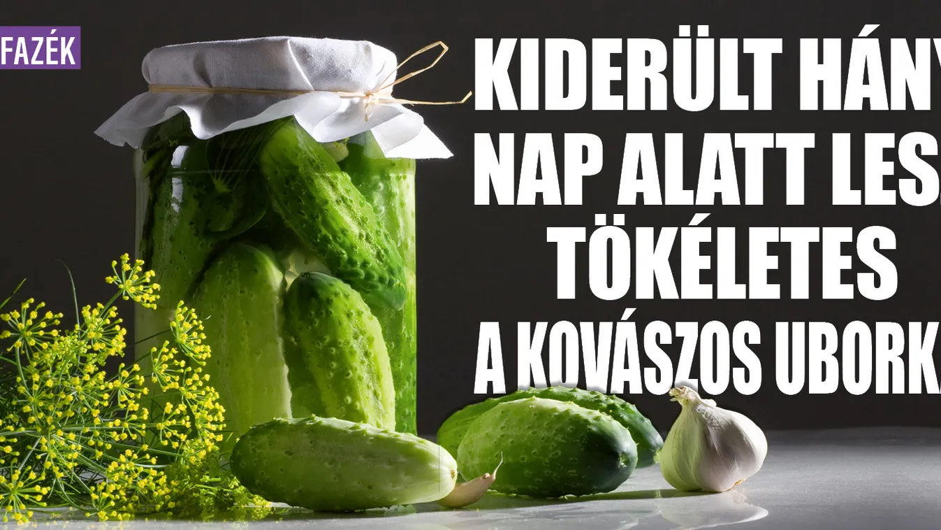 Kiderült hány nap alatt lesz tökéletes a kovászos uborka