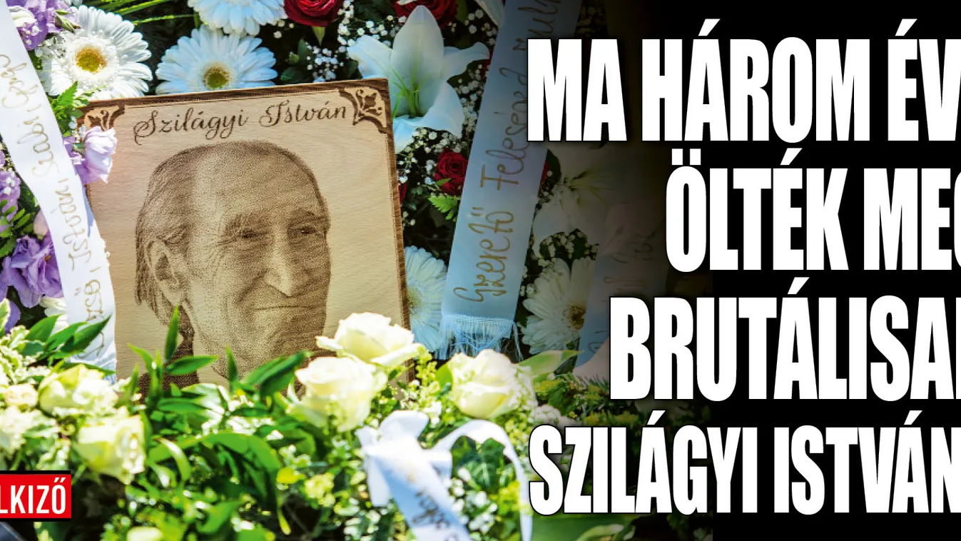 Három éve végezte ki fia az ország egyik kedvenc színészét