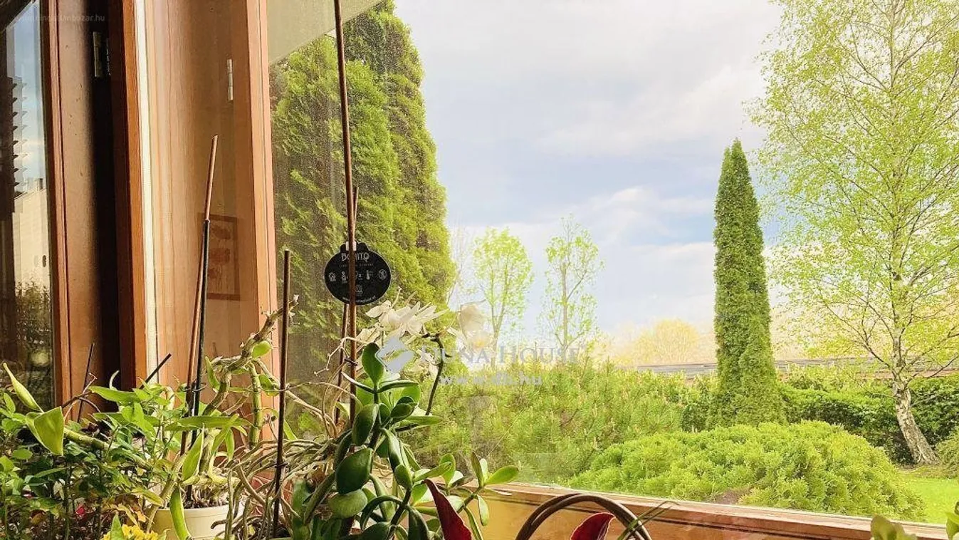 A hét lakása: egy akadálymentesen csoda a Hárshegyen