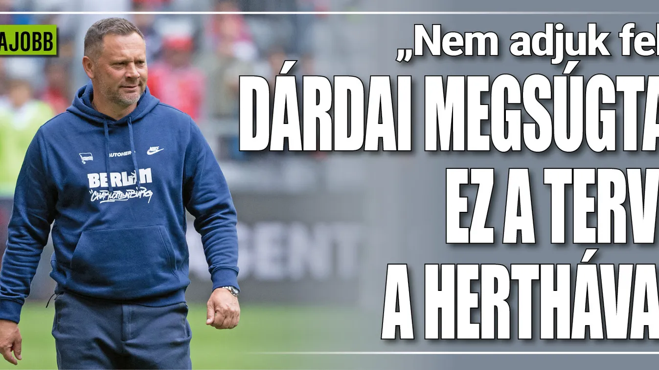 "Nem adjuk föl" – Kész Dárdai terve, így tenne csodát